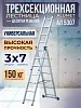 Лестница трехсекционная Ал 5307