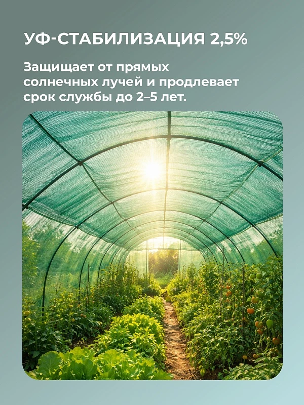 /upload/resize_cache/iblock/2c8/800_800_0/a27gls7vvqz1fh99fn14hzgu76mgq43b.webp