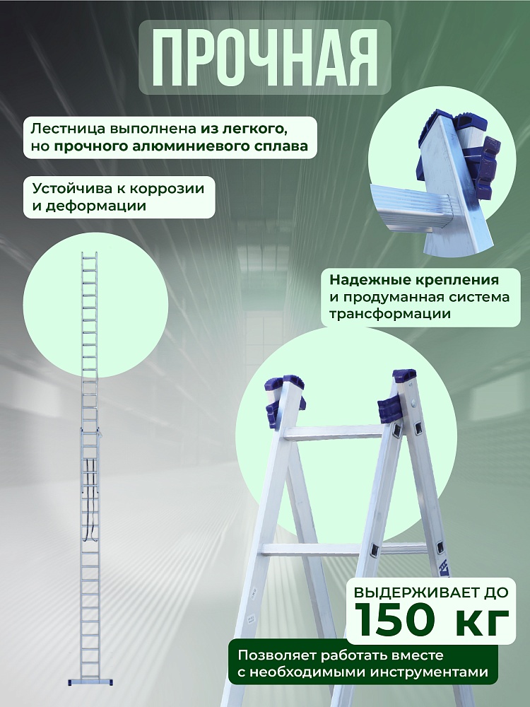 Лестница двухсекционная Alumet Ал 6218 фото 3